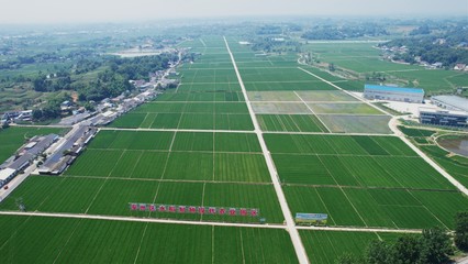 四川省现代种业发展集团揭牌成立