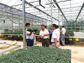 【山东】博盛种业来到安信种苗,促进友好合作