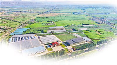 平罗 开创种业“芯”未来 跑出振兴加速度