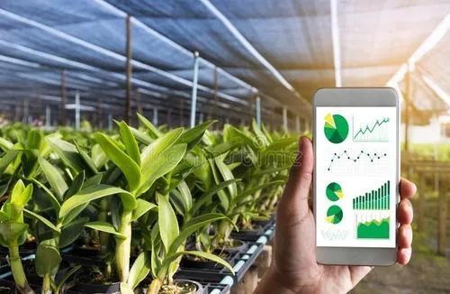 数字化种业 中国农业发展的核心变量