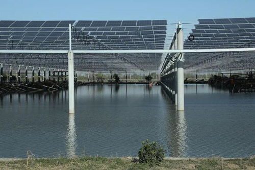 成功签约建设赣榆特色现代化设施渔业低零碳园区，助力种业发展新篇章