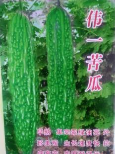 优质苦瓜种子批发指南 寿光宇丰种业的产品与服务