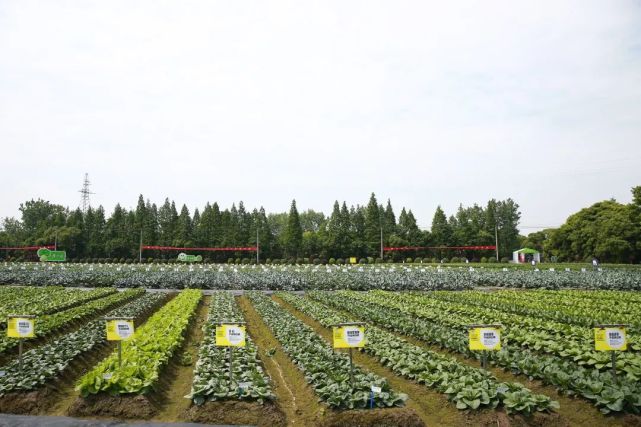 2022浙江种业博览会明日盛大开幕，助推现代种业创新发展