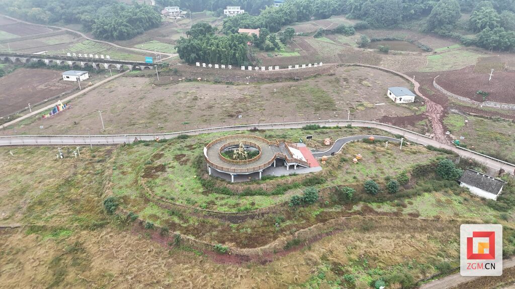 永安镇大豆种业基地丰收喜人，2000亩油菜轮种续写丰收篇章