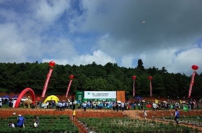 2019云南蔬菜种业博览会开幕，推动种业创新与蔬菜产业升级