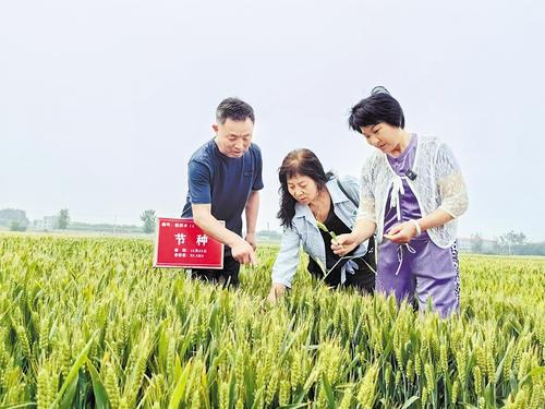 国家级展会赋能，洞见中国种业发展的新机遇