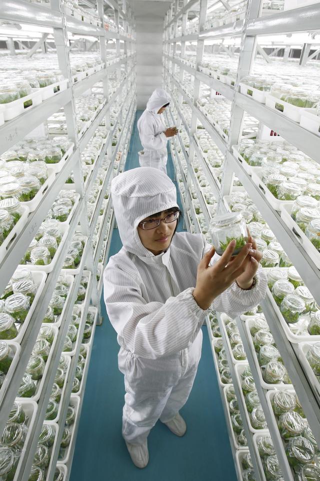 科技赋能 川蜀沃土育良种——四川推进畜禽种业自主创新的实践与准备