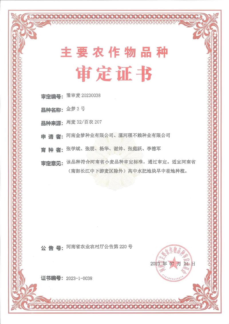 农民丰收梦,金梦种业圆!河南金梦种业自育小麦品种:金梦3号