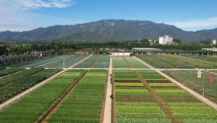 图集 | 活力柯木塱 种业人牵挂的沃土与摇篮